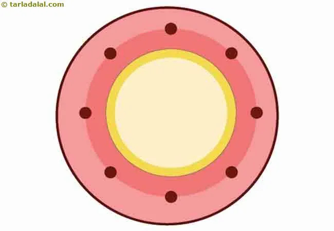 Step 15 – <meta charset="UTF-8" /><strong>Apples are Antioxidant Rich</strong><br /> <br /> Apple benefits are numerous because they …