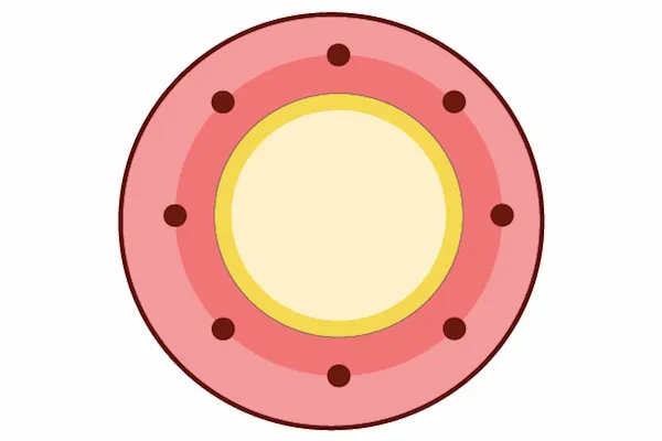 Step 4 – <meta charset="UTF-8" /><strong>Apples are Antioxidant Rich</strong><br /> <br /> Apple benefits are numerous because they …