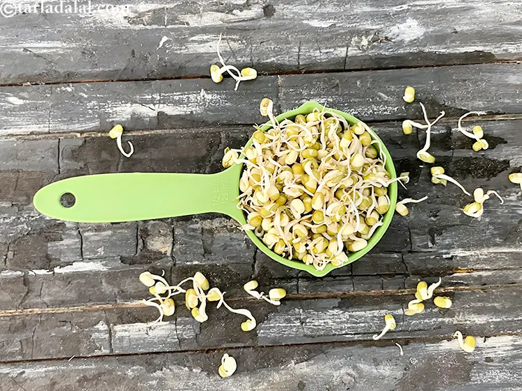 स्टेप 3 – साबूत मूंग के अंकुर बनाकर अंकुरित मूंग बनाये जाते हैं। …