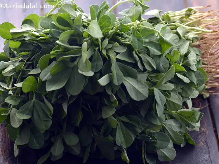 Step 2 – For preparing the <strong>Baked Methi Muthiya</strong> dough, main ingredient is <a href="https://www.tarladalal.com/glossary-Fenugreek-leaves-373i" target="_blank">fenugreek leaves</a>. It …