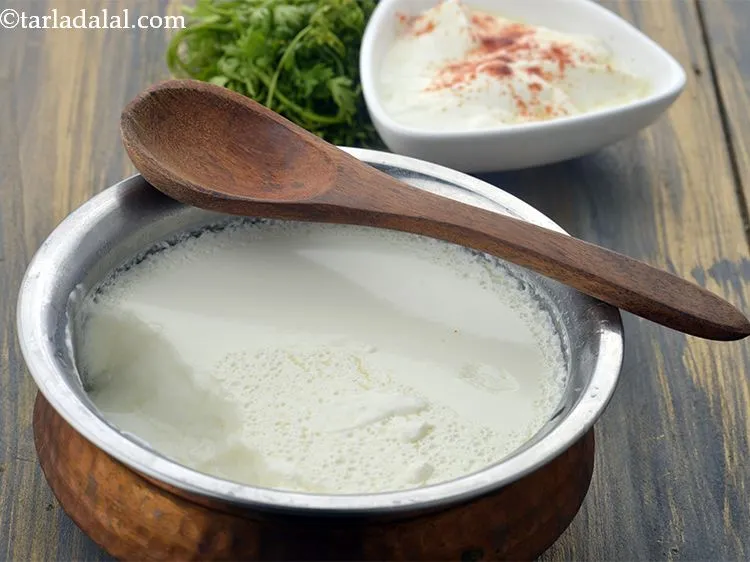 स्टेप 15 – आप इस <strong>गाय के दूध से बने दही </strong>का | …