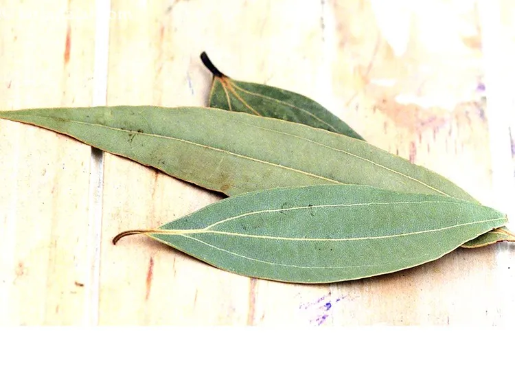 स्टेप 10 – १&nbsp;<a href=""https://www.tarladalal.com/glossary-bay-leaf-tejpatta-bay-leaves-hindi-189i"">तेजपत्ता</a> डालें। यह वैकल्पिक है। आप चाहें तो इसे …