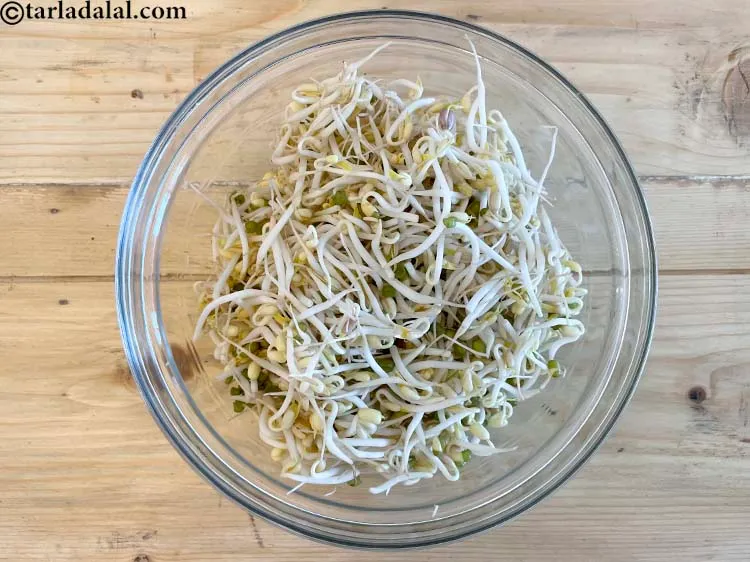 Step 3 – This is what bean sprouts look like.&nbsp;<meta charset="UTF-8" />Bean sprouts are obtained from the germination …