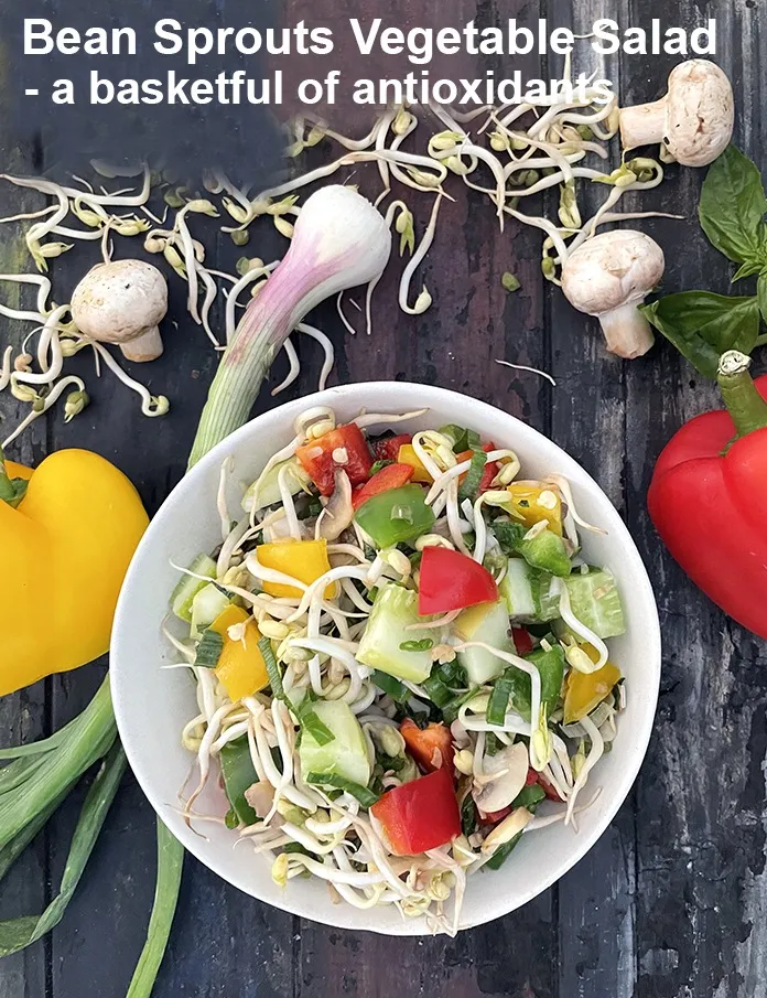 Step 31 – <strong>Bean Sprouts Vegetable Salad &ndash; a basketful of antioxidants.&nbsp;</strong>
