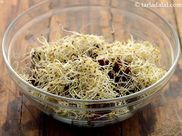 स्टेप 8 – इसमें एल्फा-एल्फा स्प्राउट्स डालें। आपको इन स्प्राउट्स को पकाने की …