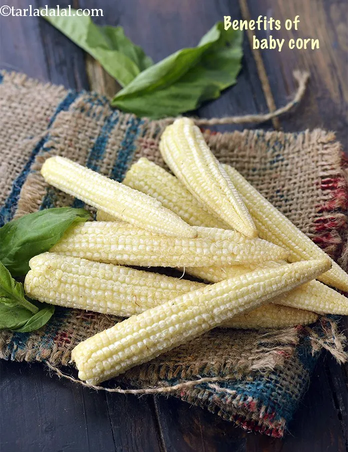 Step 9 – <strong>Baby Corn</strong>&nbsp;: Since baby corn is picked much before the maturing stage, they hold a …