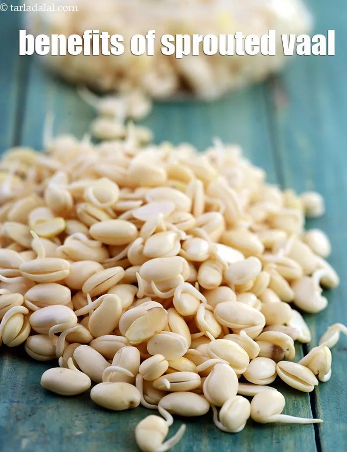 Step 4 – <meta charset="UTF-8" />Vaal ( lima beans ) is a storehouse of&nbsp;<a href="https://www.tarladalal.com/recipes-for-protein-rich-foods-indian-veg-protein-rich-recipes-695" target="_blank">protein&nbsp;</a>and&nbsp;<a href="https://www.tarladalal.com/recipes-for-high-fiber-819" target="_blank">fibre</a>. …