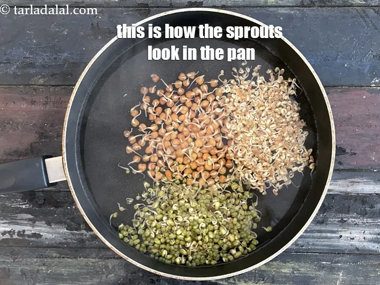 Step 8 – This is how the sprouts look.