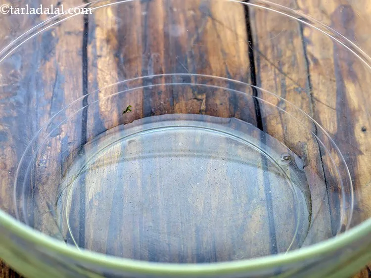 Step 5 – For preparing the<strong>&nbsp;Bread Upma In Microwave</strong>, put the oil in a microwave safe bowl.Put it …