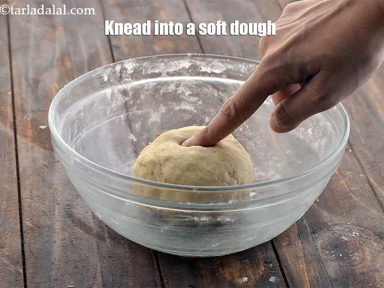 Step 12 – Check the dough for softness and add some water and oil as needed. Punch the …