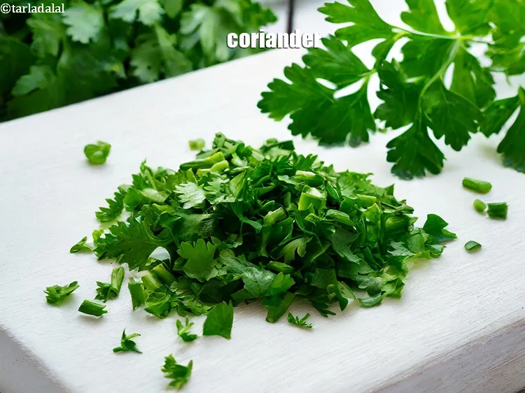 स्टेप 10 – <strong>भारतीय कचुम्बर सलाद हमेशा धनिया के साथ बनाया जाता है</strong>। …