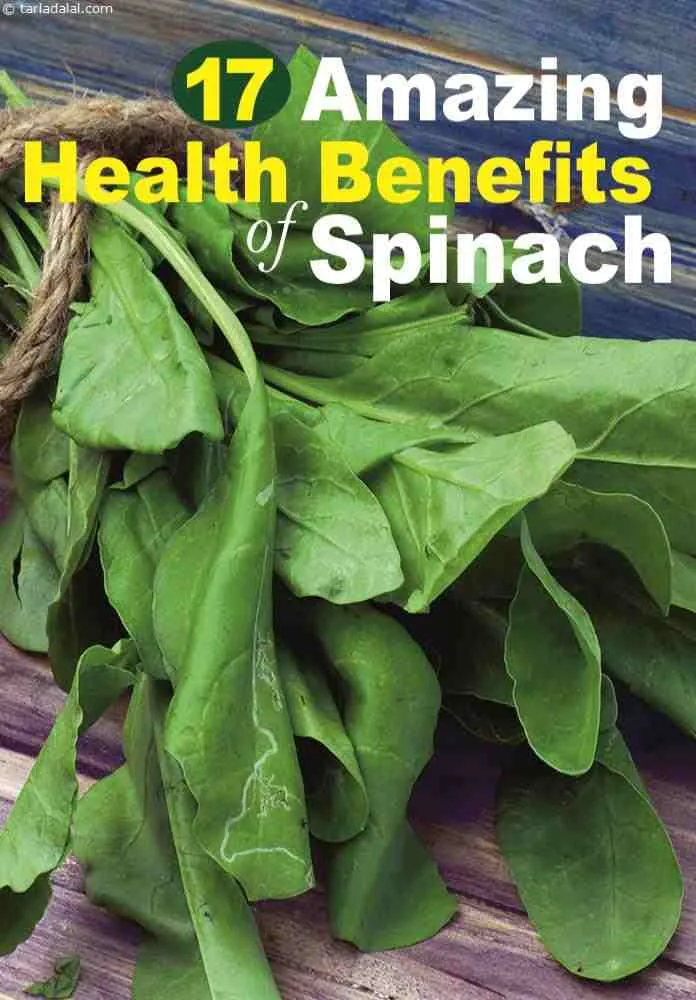 Step 4 – &nbsp; <meta charset="UTF-8" /> <ul> <li><strong>Good Source of Iron :</strong>&nbsp;<strong>Spinach</strong>&nbsp;is one of the richest plant …