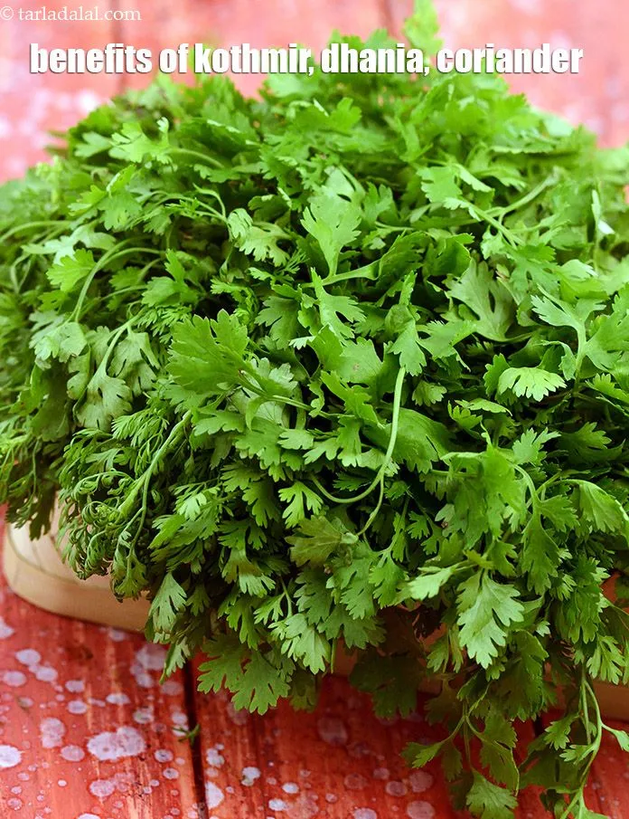 Step 4 – <ul> <li><strong>Relief from Anemia</strong> : Coriander is a fairly good source of <a href="https://www.tarladalal.com/recipes-for-Iron-Rich--379">iron</a> and …