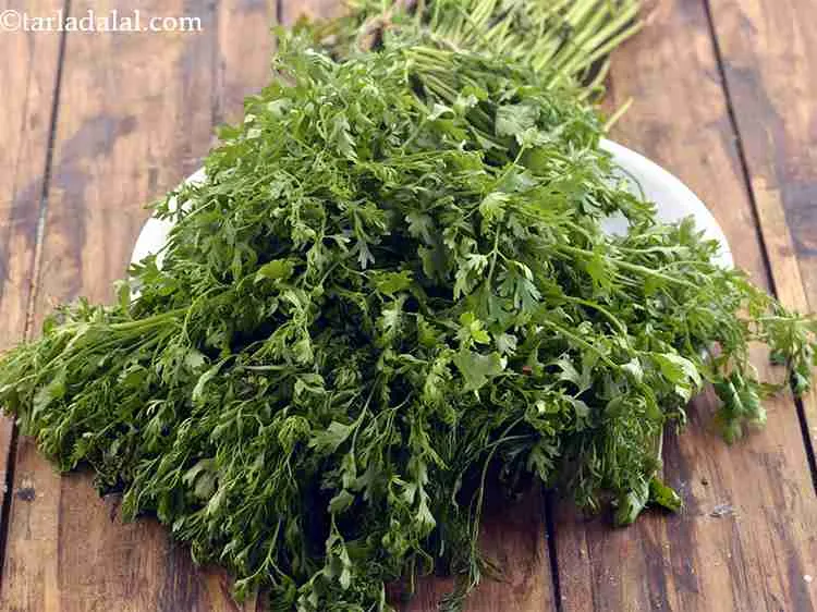 Step 7 – For the <strong>stuffing of coriander roti</strong>, we need fresh coriander.&nbsp;