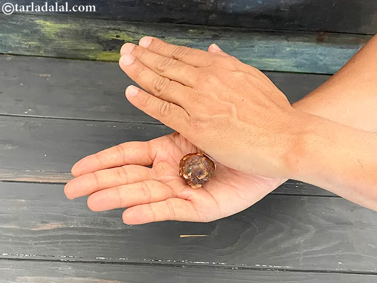 Step 6 – Mix well with your hands till the mixture binds well like a dough.