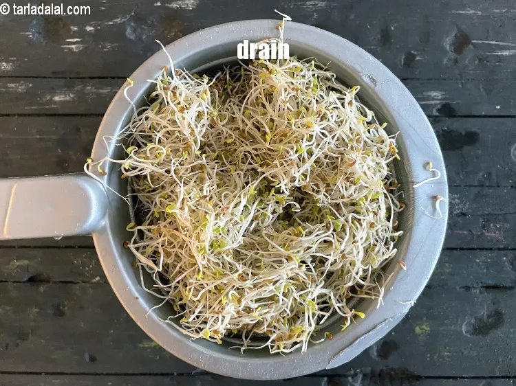 Step 5 – <p>Drain.</p>