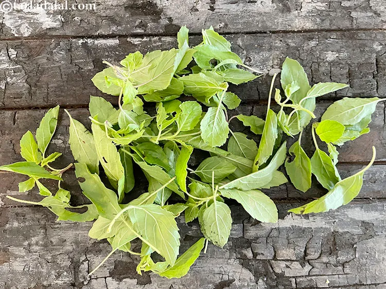 Step 4 – Pluck the leaves from the stem.