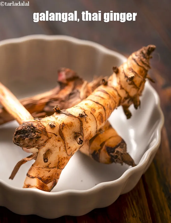 Step 6 – What is <a href="glossary-galangal-thai-ginger-1609i">galangal (thai ginger)</a>&nbsp;? Galangal is a very important and widely used ingredient …