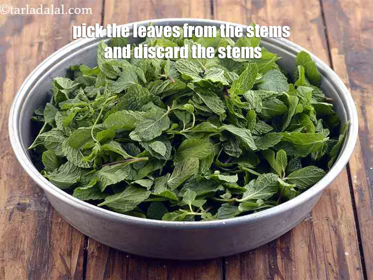 Step 9 – Pick the leaves from the stems and discard the stems.