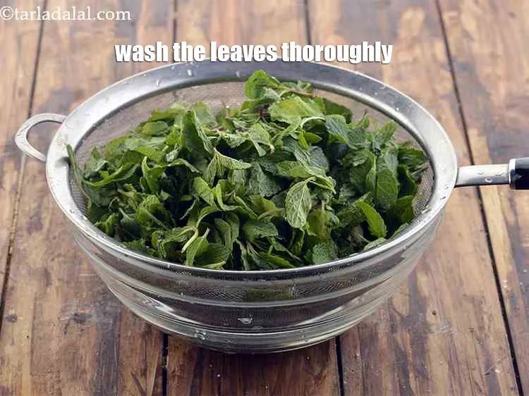 Step 10 – Wash the leaves thoroughly to remove any dirt and dust that might be on them.