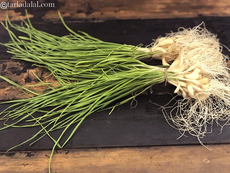 Step 27 – Try to pick out sturdy crisp stalks of green garlic which do not appear wilted, …