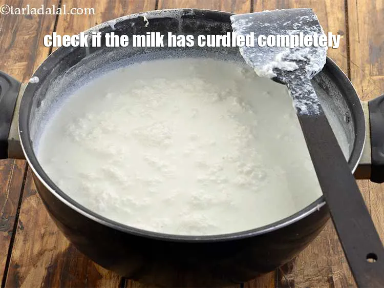 Step 16 – Stir the milk to check if the milk has curdled completely.