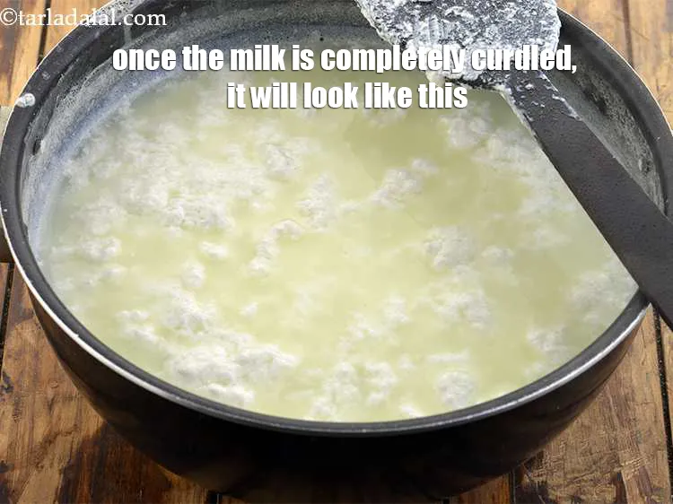 Step 18 – Let it stand for a few seconds. Once the milk is completely curdled, it will …