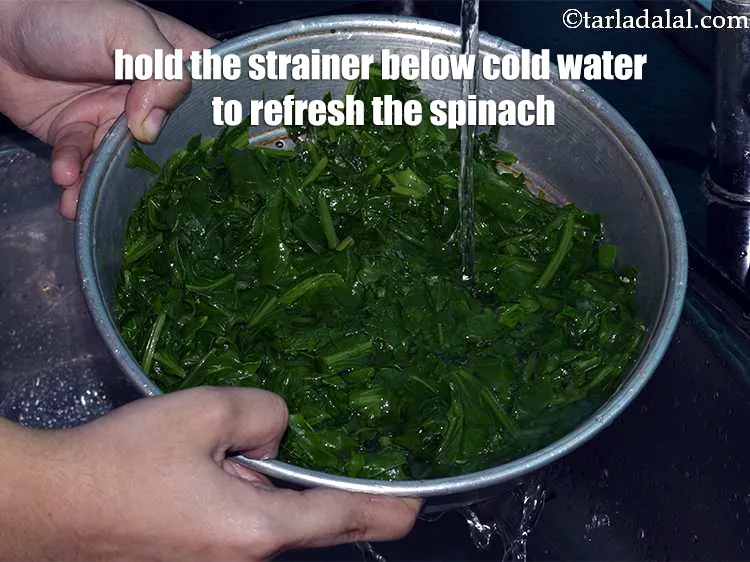 Step 17 – <meta charset="UTF-8" />Hold the strainer below cold water to refresh the spinach and drain well. …