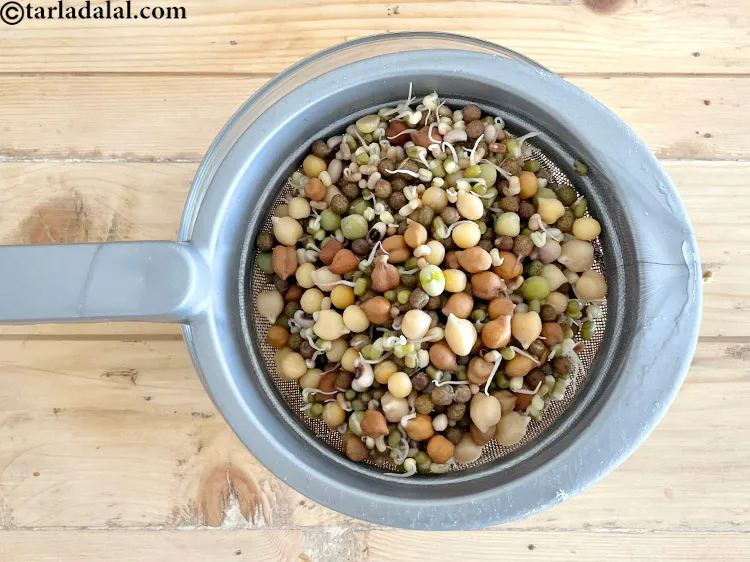 स्टेप 18 – मिक्स स्प्राउट्स को छलनी से छान लें। पानी निकाल दें।