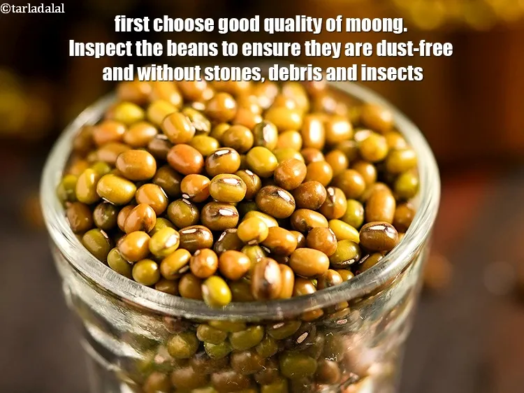 Step 3 – First choose good quality of moong. Inspect the beans to ensure they are dust-free and …