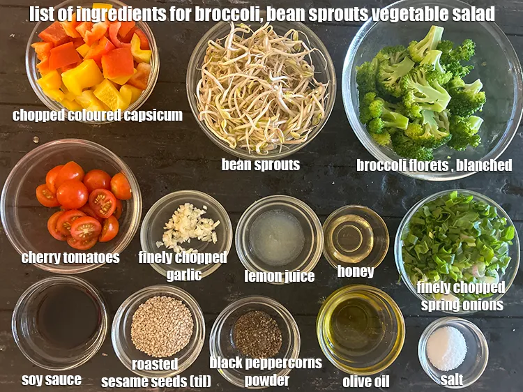 Step 2 – <strong>what is broccoli, bean sprouts vegetable salad made of ?</strong> <u><em>See below image of list …