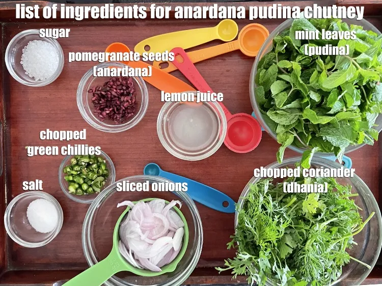 Step 2 – <strong>what is anardana pudina chutney made off? pomegranate mint chutney&nbsp;</strong>is made from&nbsp;cheap and easily available …