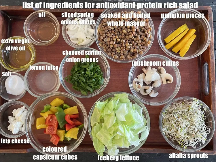 Step 2 – <strong>what is antioxidant protein rich salad recipe made of ? antioxidant vegetable dal and cheese …