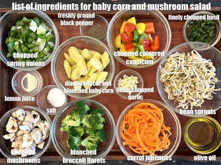 Step 2 – <strong>what is baby corn and mushroom salad made of ?</strong> <u><em>See below image of list …