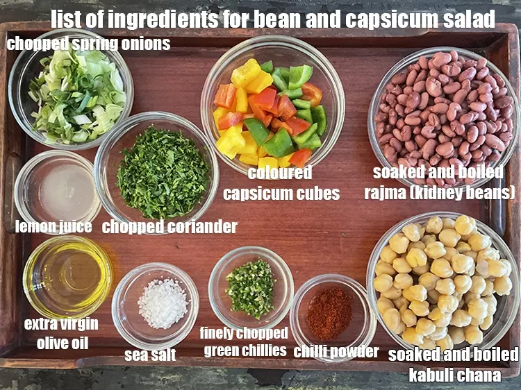 Step 2 – <strong>what is bean and capsicum salad recipe made of ?</strong> <u><em>see below image of list …