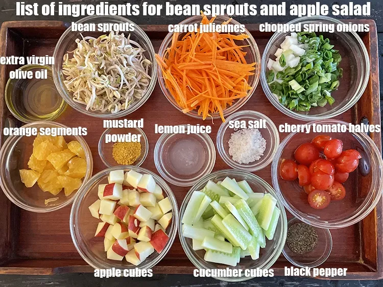 Step 2 – <strong>what is bean sprouts and apple salad made of ?</strong> <strong>tomatoes sprouts carrot salad </strong>&nbsp;is …