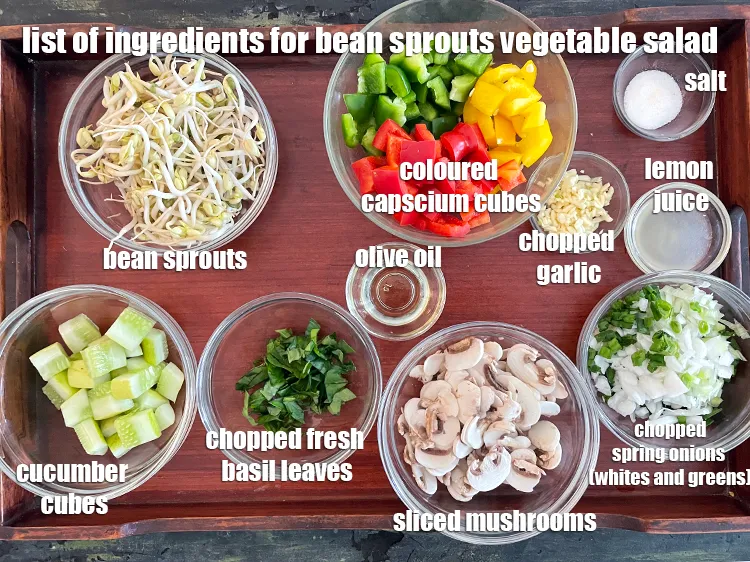 Step 2 – <strong>what is bean sprouts vegetable salad made off? bean sprouts dill and capsicum salad</strong>&nbsp;is made …