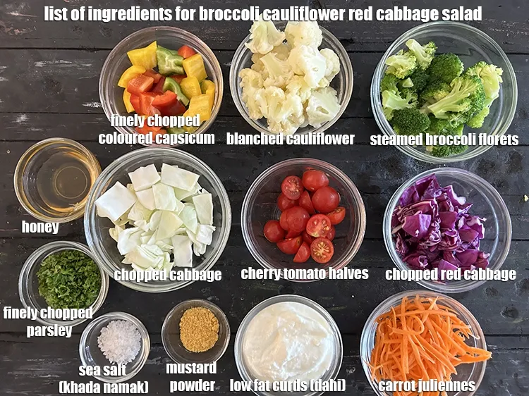 Step 2 – <strong>what is broccoli cauliflower red cabbage salad made of ?</strong> <u><em>See below image of list …