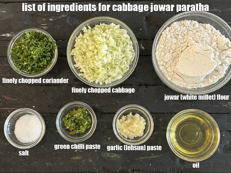 Step 2 – <strong>what is cabbage jowar paratha made of? Indian patta gobi jowar paratha&nbsp;</strong>is made from&nbsp;<meta charset="UTF-8" …
