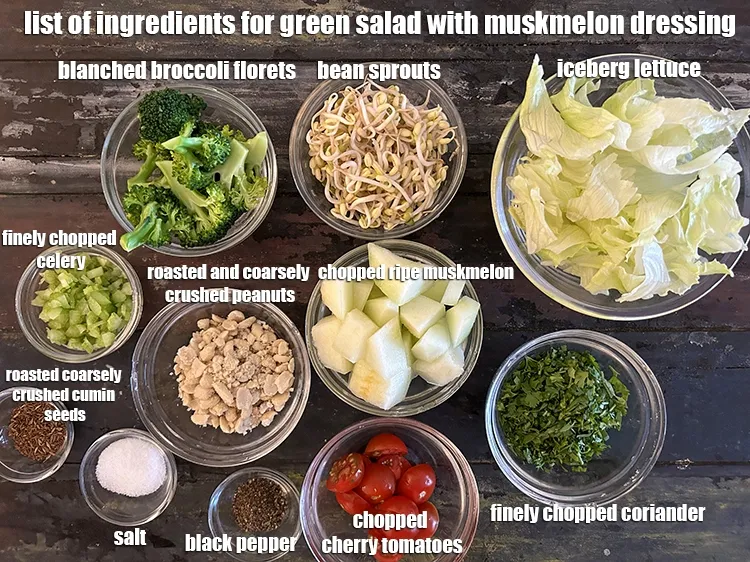 Step 2 – <strong>what is Green Salad with Muskmelon Dressing made of ? </strong><u><em>See below image of list …