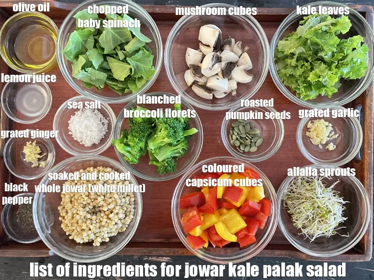 Step 2 – <strong>what is jowar kale palak salad made of ? spinach, capsicum, alfalfa sprouts salad&nbsp;</strong>is made …