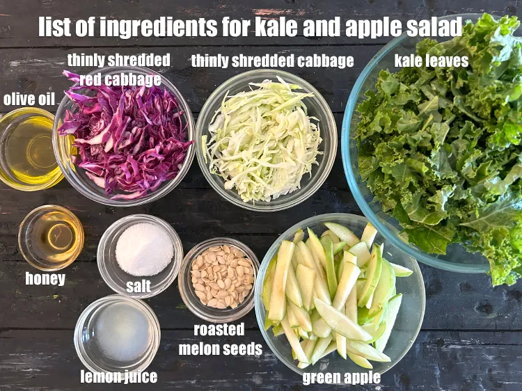 Step 2 – <strong>what is kale apple salad made of ?</strong> <u><em>See below image of list of ingredients …