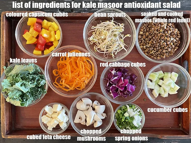 Step 2 – <strong>what is kale masoor antioxidant salad &nbsp;made of ?</strong> <meta charset="UTF-8" /><strong>&nbsp;healthy Indian salad with …