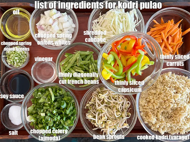 स्टेप 2 – <strong>वेजिटेबल&nbsp;कोदरी किससे बनती है?&nbsp;</strong><u><em>वेजिटेबल&nbsp;कोदरी<em><u> </u></em>के लिए सामग्री की सूची की …