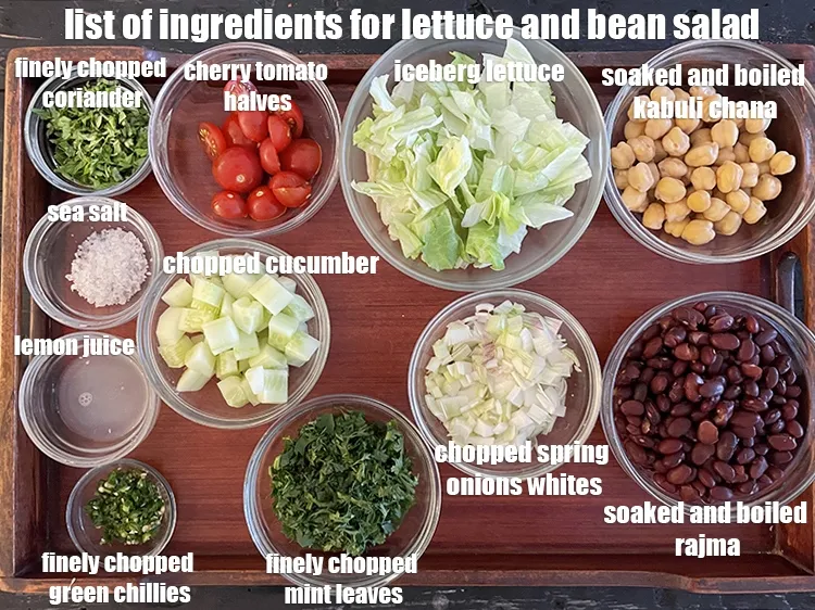 Step 2 – <strong>what is lettuce and bean salad &nbsp;made of ? iron rich lettuce, rajma and chick …