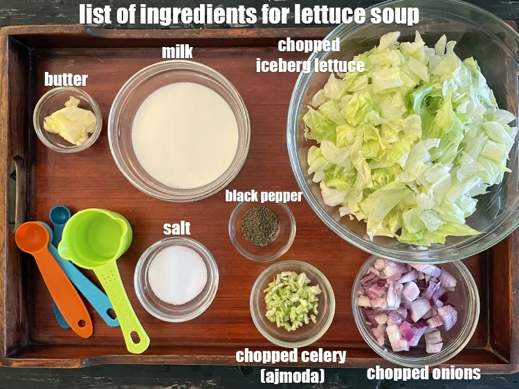 Step 2 – <strong>what is lettuce soup made of ? healthy Indian lettuce soup </strong>is made from&nbsp;<meta charset="UTF-8" …