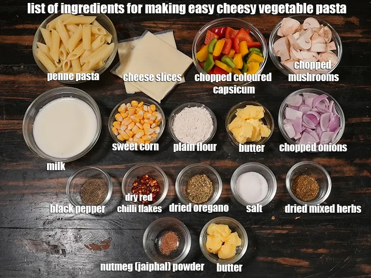 Step 2 – <u><em>See the below image of list of ingredients for making easy cheesy vegetable pasta.</em></u>