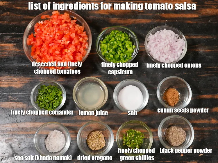 Step 2 – <u><em>See the below image of list of ingredients for making tomato salsa recipe.</em></u>