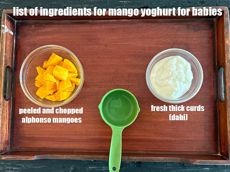 Step 2 – <strong>list of ingredients for mango yogurt for babies, toddlers, kids, adults</strong>.<u><em> See below image for …