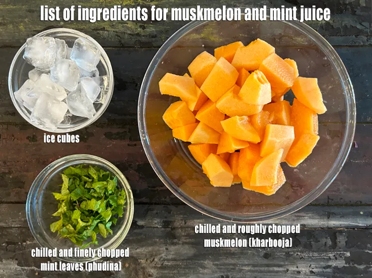 Step 2 – <strong>what is muskmelon and mint juice made of ?</strong> <u><em>See below image of list of …